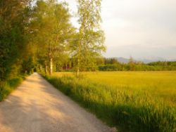 2013-06-08_Radtour_Iffeldorf-Aiderbichl (222).JPG